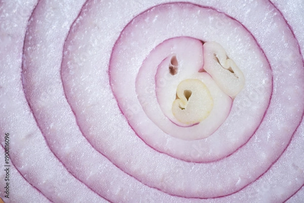 Obraz red onion rings