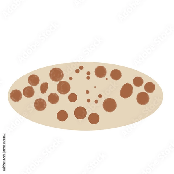 Obraz flour bread isolated on white background