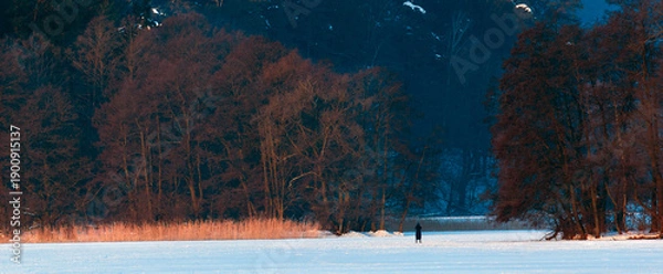 Obraz Zimowe Spacery 