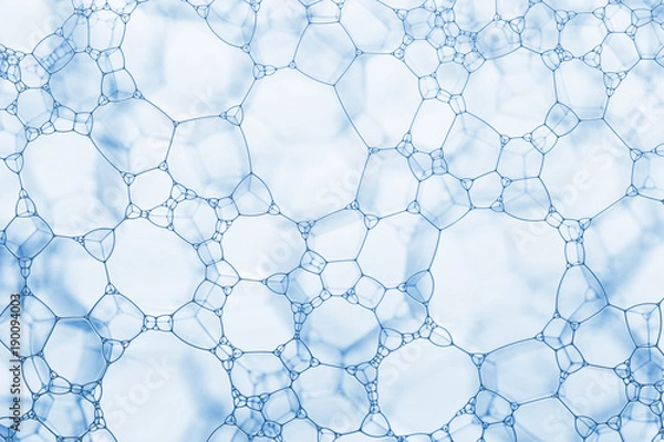 Obraz foam cells closeup