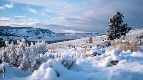 Obraz Crisp winter valley