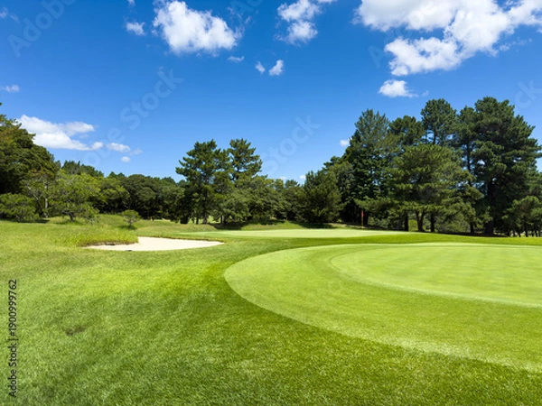Obraz 青空と芝生が美しい広大なゴルフ場のコース