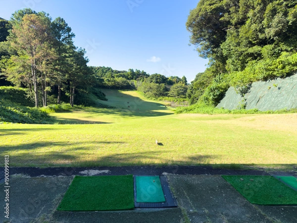 Obraz 青空と芝生が美しい広大なゴルフ場のコース