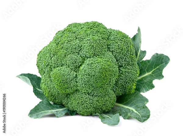 Obraz Fresh broccoli isolated on white.