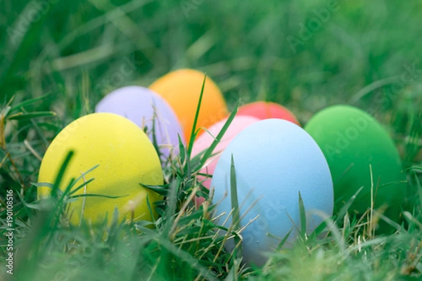 Fototapeta The colorful easter eggs in the nest with green grasses background of front yard
