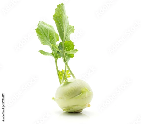 Fototapeta Kohlrabi (German turnip or turnip cabbage) with fresh leaves isolated on white background one raw bulb.