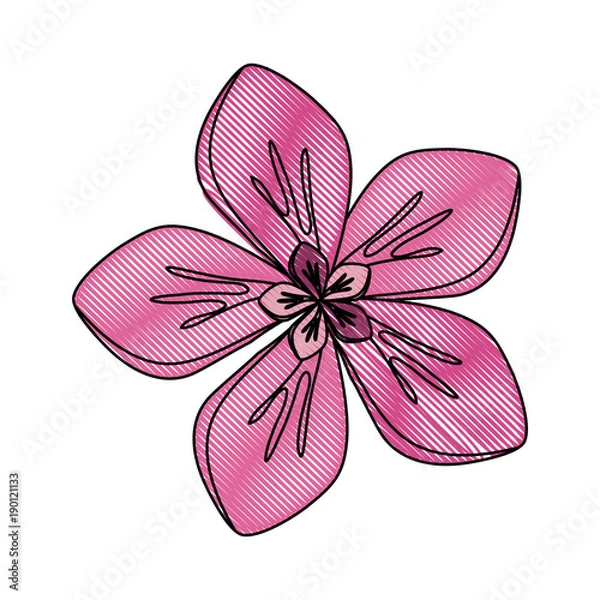 Fototapeta rustic floral design