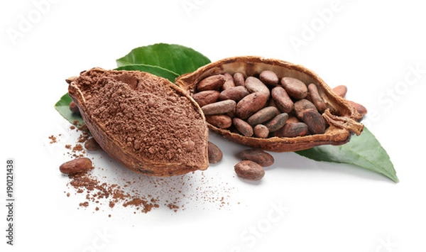 Obraz Połówki dojrzałego strąka kakaowego z fasolą i proszkiem na białym tle