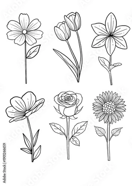 Obraz set hand drawn flowers