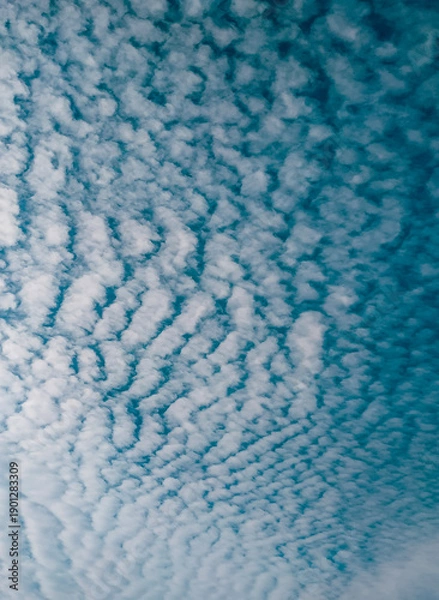 Obraz blue sky with clouds