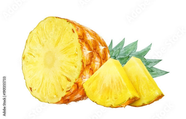 Obraz パイナップル イラスト リアル パイン