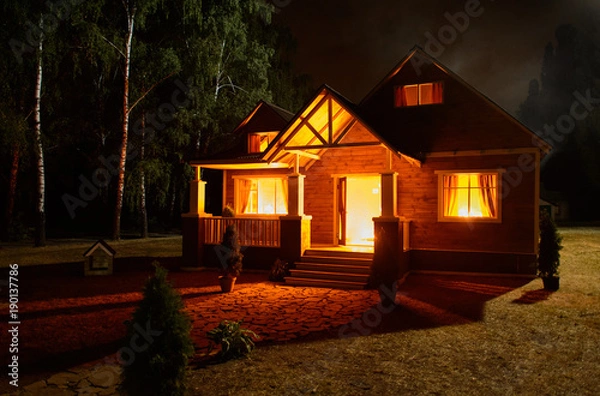 Obraz The house is on fire