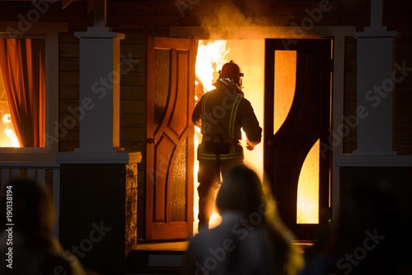 Obraz The house is on fire