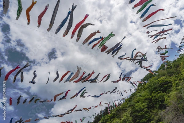 Obraz 日本：神流（かんな）川の空を泳ぐ鯉のぼり／群馬県神流町・5月
