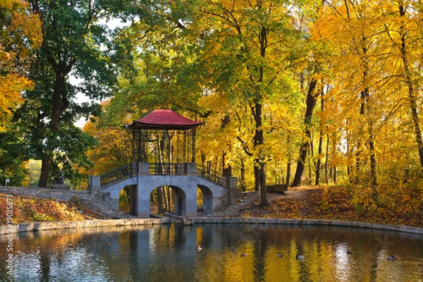 Fototapeta Chinese bridge in the park