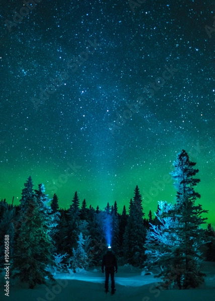 Fototapeta Man standing under northern lights in winter forest with headlamp beam and starry sky