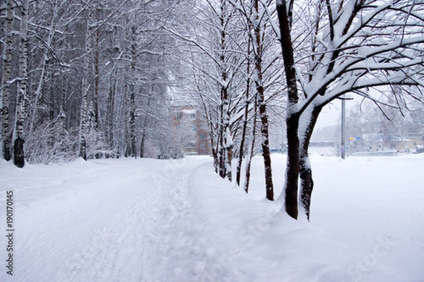 Fototapeta pathway after snowfall
