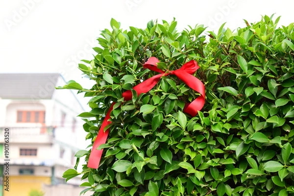 Fototapeta red ribbon on green leaf background