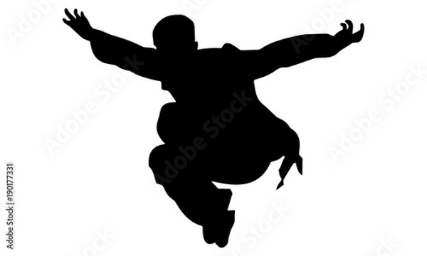 Fototapeta vector of martial arts