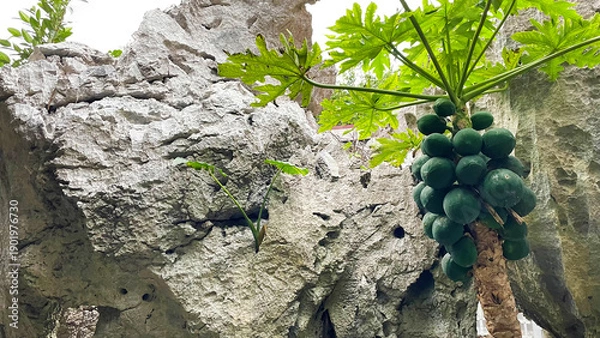Fototapeta 亜熱帯林と奇岩が織りなす神秘的な自然風景 沖縄 大石林山