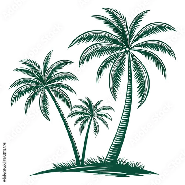 Obraz Tropical palm trees with white background  