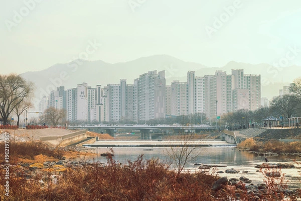 Obraz 대구 도심속 하천