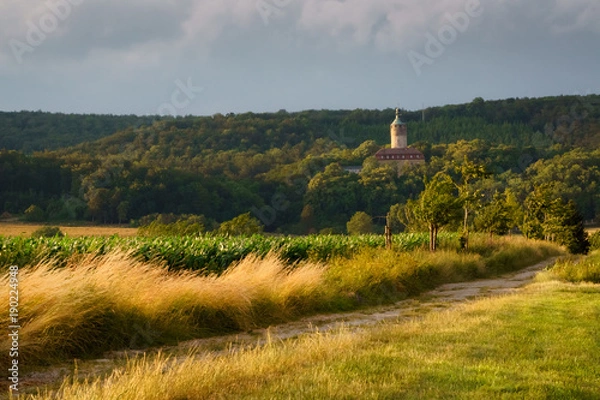 Fototapeta Schloss Tonndorf in evening light with windswept grass lining the path