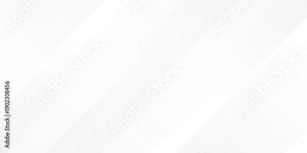 Obraz White abstract background with line pattern, banner design. Vector 16:9