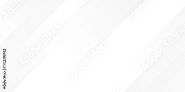 Obraz White abstract background with line pattern, banner design. Vector