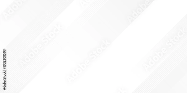 Obraz White abstract background with line pattern, banner design. Vector