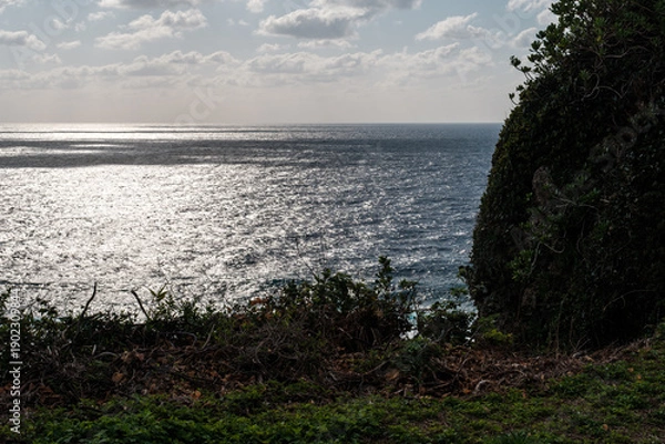 Obraz 沖縄で見つけた風景。平和への想いを新たに