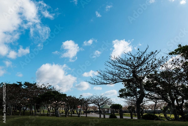 Obraz 沖縄で見つけた風景。平和への想いを新たに