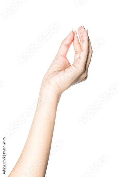 Fototapeta Hand hold virtual business card, credit card or blank paper