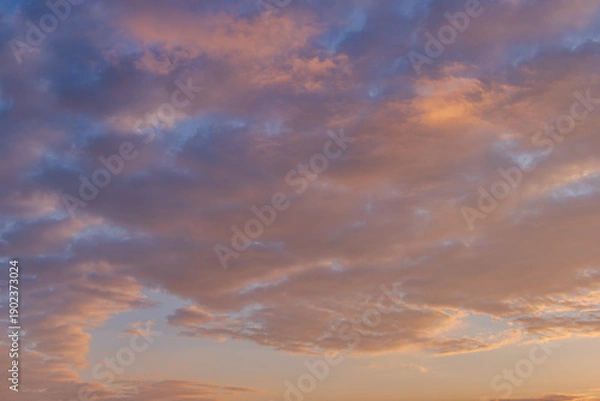 Obraz 燃える朝空