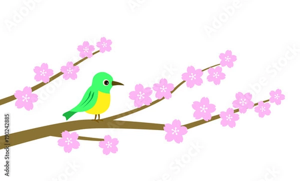 Obraz 桜とメジロ