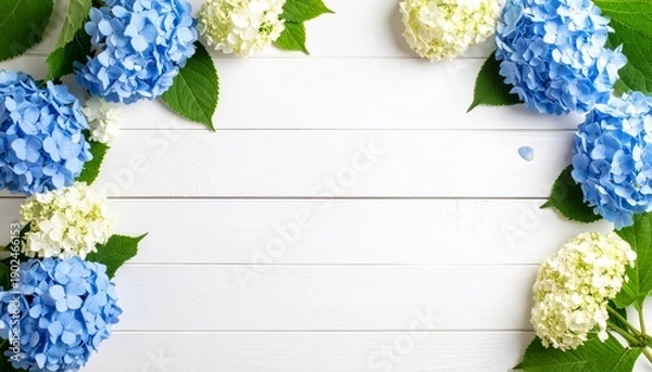 Obraz アジサイと白い板壁