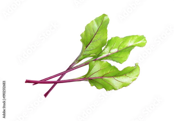 Obraz Beet leaves on white