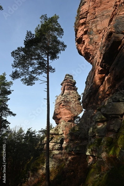 Obraz Spirkelbacher Rauhfels