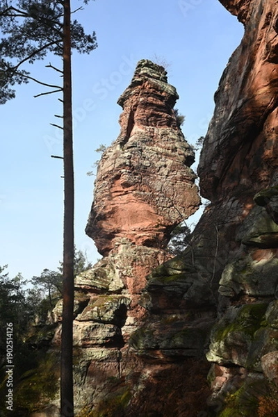 Obraz Spirkelbacher Rauhfels