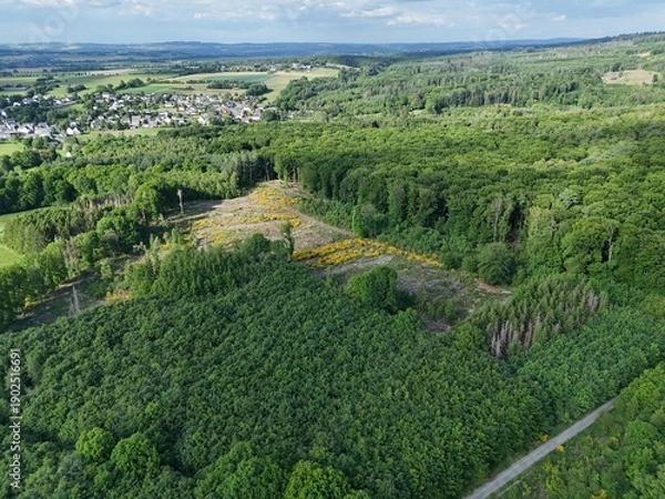 Obraz Landschaft bei Hoechstenbach im Westerwald