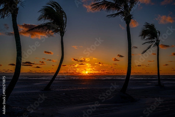 Obraz Sunset at the Beach