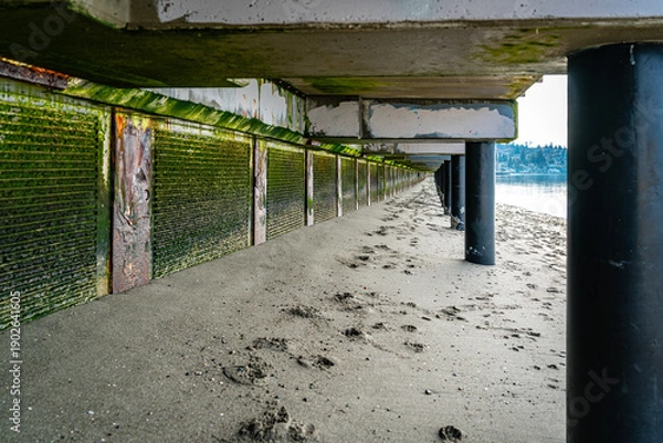 Obraz Beneath_Beach_Boardwalk 2