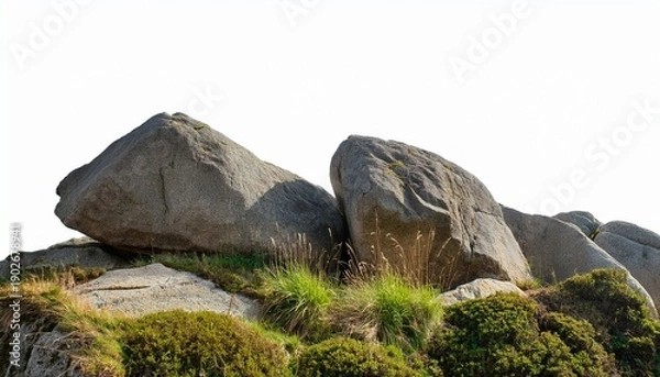 Obraz Big Rocks With Grass On A Transparent Background