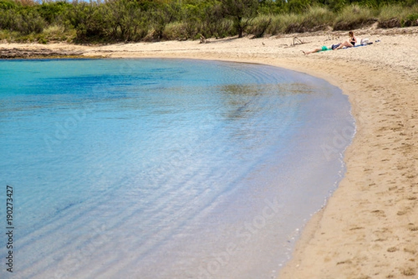 Fototapeta La spiaggia di Torre Guaceto in Puglia