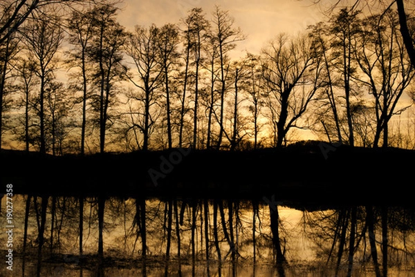 Obraz sunset with reflections 