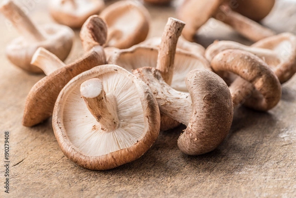 Obraz Shiitake ono rozrasta się na drewnianym tle.