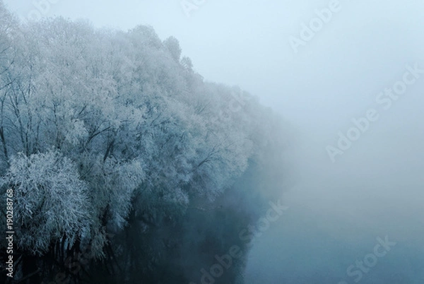 Fototapeta Trees in the fog covered with hoarfrost on a riverbank