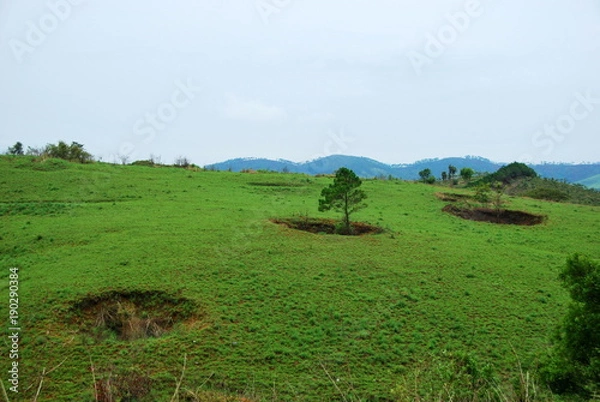 Obraz Bomb craters from the Vietnam War surround giant megalithic stone urns at the Plain of Jars archaeological site in Loas. This area is the world's most heavily bombed place
