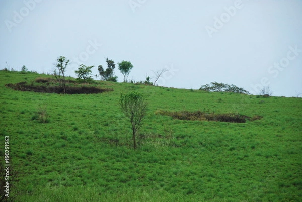 Obraz Bomb craters from the Vietnam War surround giant megalithic stone urns at the Plain of Jars archaeological site in Loas. This area is the world's most heavily bombed place