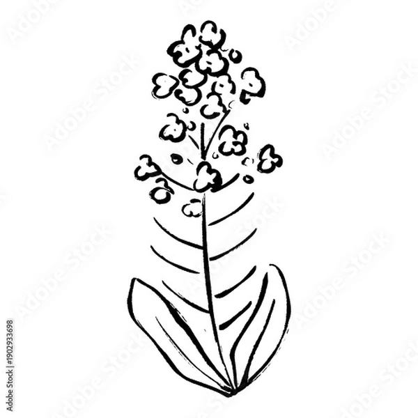 Obraz 菜の花の筆タッチイラスト